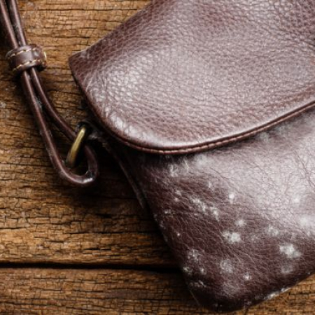 How To Clean Mold Off Leather: Tips to Remove Mold Effectively