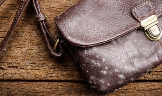 How To Clean Mold Off Leather: Tips to Remove Mold Effectively