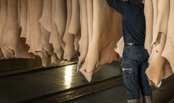 What is a Tannery? Meaning, Process, and Leather Making Explained